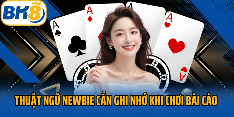 Thuật ngữ newbie cần ghi nhớ khi chơi bài cào online